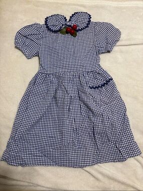 Vintage Blue Gingham Checkered Dress
